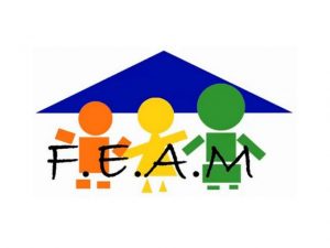 Logo FEAM